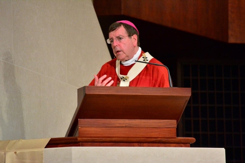 Detroit Archbishop Allen H. Vigneron gives the homily during a May vigil Mass for Pentecost at the Cathedral of the Most Blessed Sacrament in Detroit. Photo: CNS/Mike Stechschulte, The Michigan Catholic