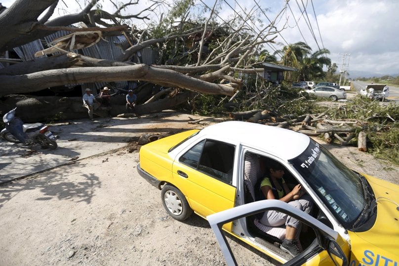 A person sits in a car by a felled tree in Melaque, Mexico, on 24 October. Photo: CNS/Edgard Garrido, Reuters