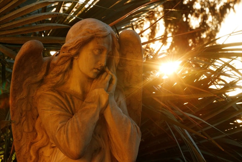 Sun backlights a decorative angel on a tombstone as Pope Francis celebrates Mass in Verano cemetery in Rome on 1 November, the feast of All Saints. Photo: CNS/Paul Haring