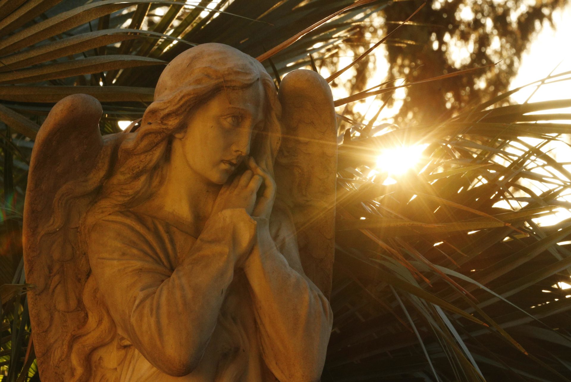 Sun backlights a decorative angel on a tombstone as Pope Francis celebrates Mass in Verano cemetery in Rome Nov. 1, the feast of All Saints. (CNS photo/Paul Haring) See POPE-ALL-SAINTS Nov. 2, 2015.