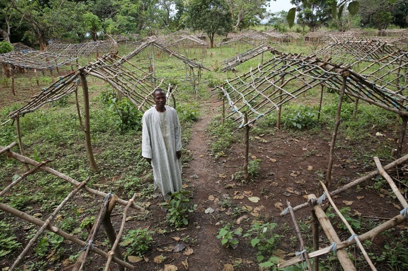 A man internally displaced by violence stands in front of his house, which was under construction at a camp in Bambari, Central African Republic, in mid-October. Photo: CNS/Goran Tomasevic, Reuters 