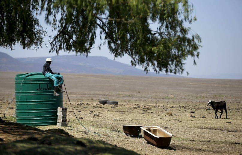 A farmworker sits on a water tank as he supplies his livestock with water at a drought-stricken farm outside Utrecht, South Africa. Photo: CNS/Siphiwe Sibeko, Reuters