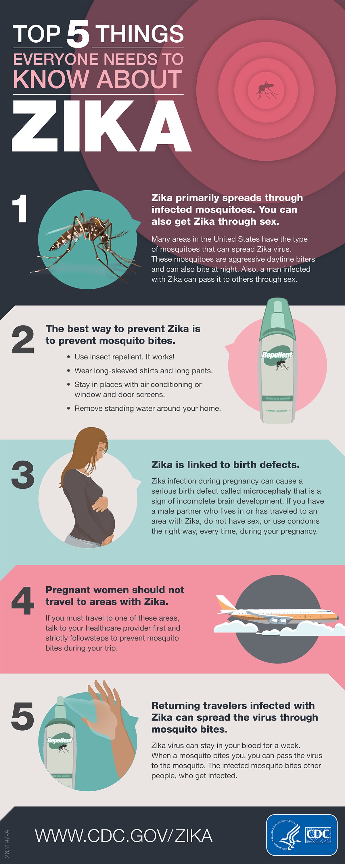 This Zika graphic was produced by the Centers for Disease Control and Prevention. (CNS graphic/Centers for Disease Control and Prevention) See WASHINGTON-LETTER-ZIKA May 20, 2016.