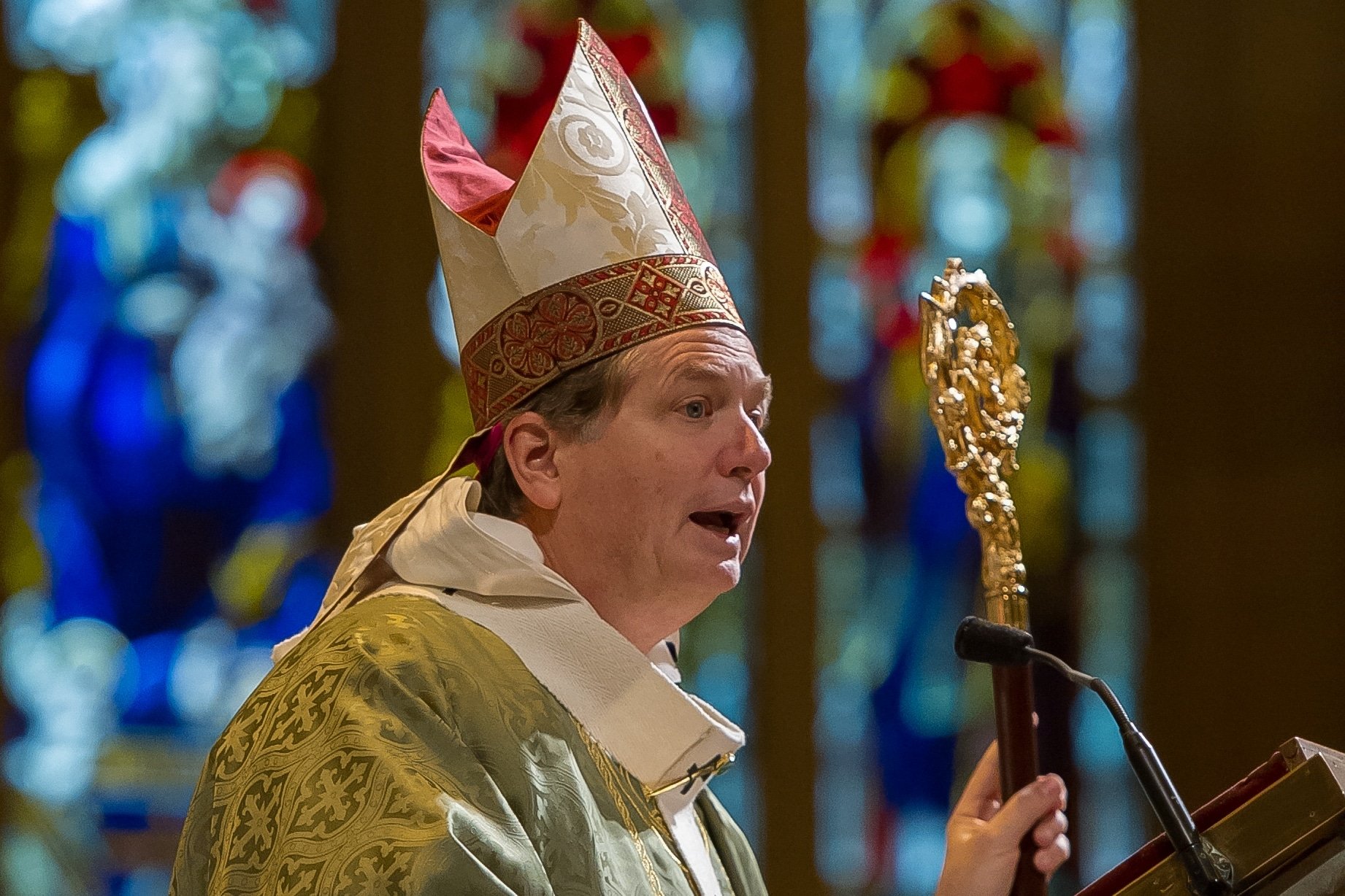 Archbishop Anthony Fisher OP pictured in a 2015 file photo. Photo: Giovannni Portelli