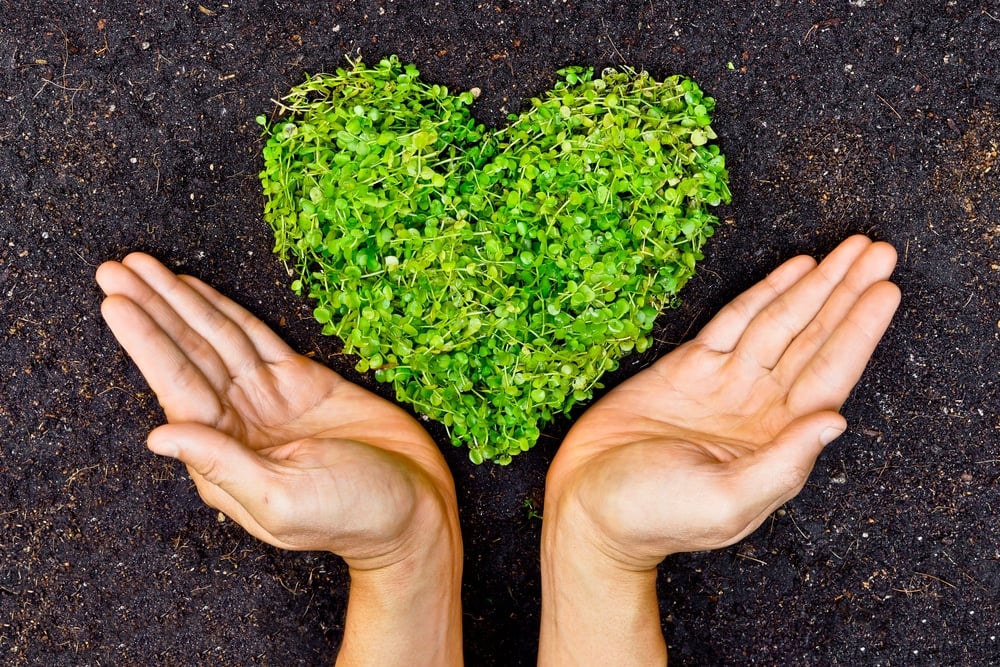 Photo: Shutterstock