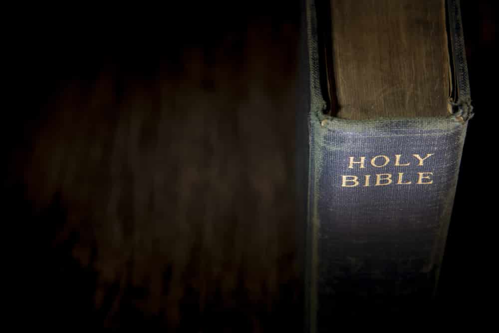 Photo: Shutterstock
