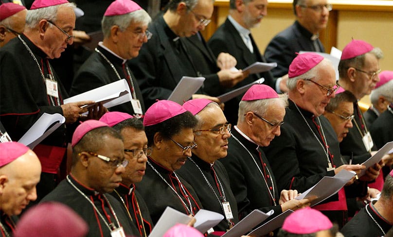 Bishops attend a session of the Synod of Bishops on young people, the faith and vocational discernment at the Vatican. Photo: CNS photo/Paul Haring