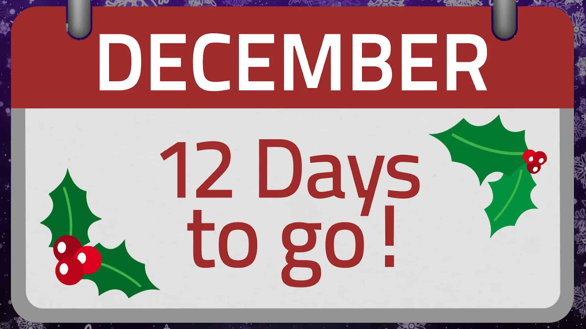 12 Days of Christmas - 12 Days to Go! | The Catholic Weekly