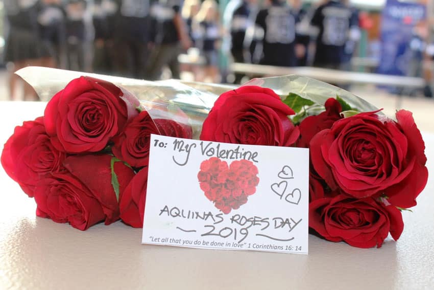 Some of the beautiful roses Year 12 students distributed on Valentine's Day in support of Project Compassion.