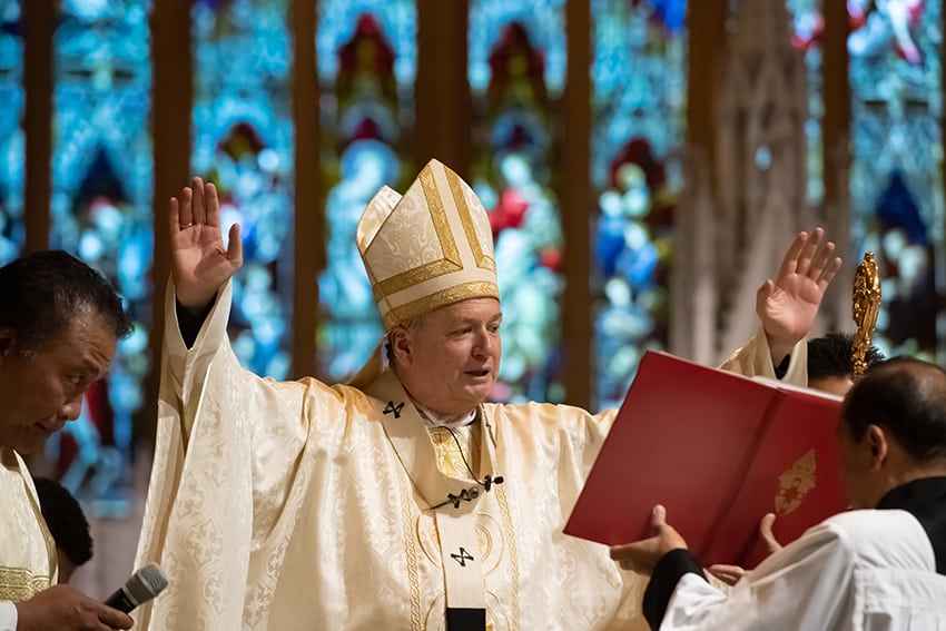 Sydney archbishop Anthony Fisher