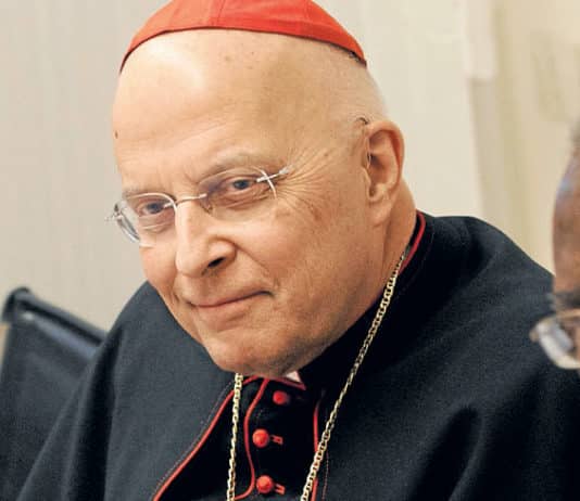 Cardinal Francis George of Chicago, above, famously predicted he would die in his bed, his successor would die in jail and that man’s successor would be publicly executed. Photo: CNS/Paul Haring