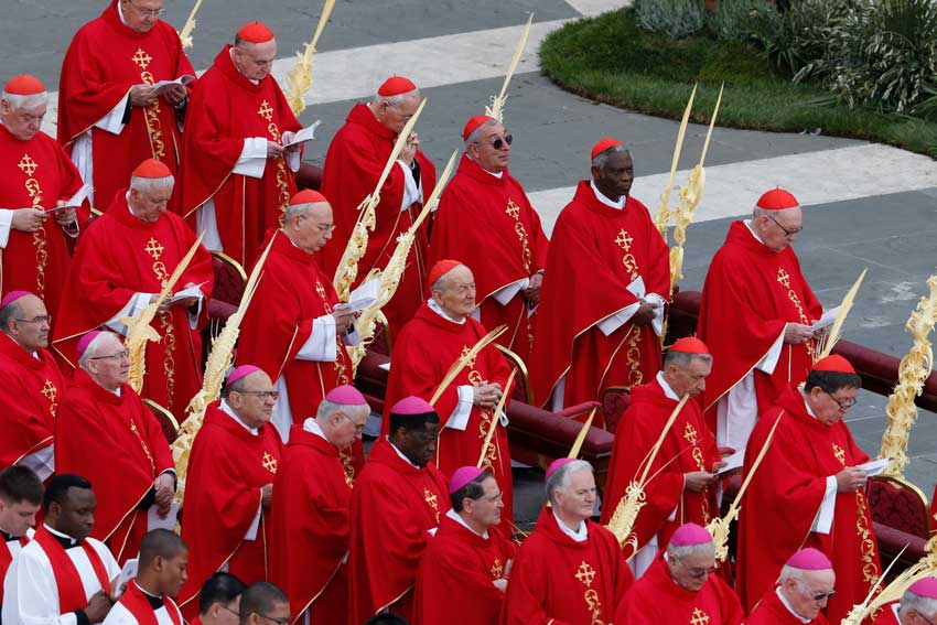 Cardinals and bishops