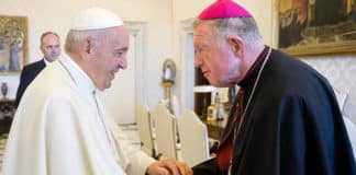 Pope Francis greets Bishop Terry Brady of Sydney. Photo: CNS photo/Vatican Media