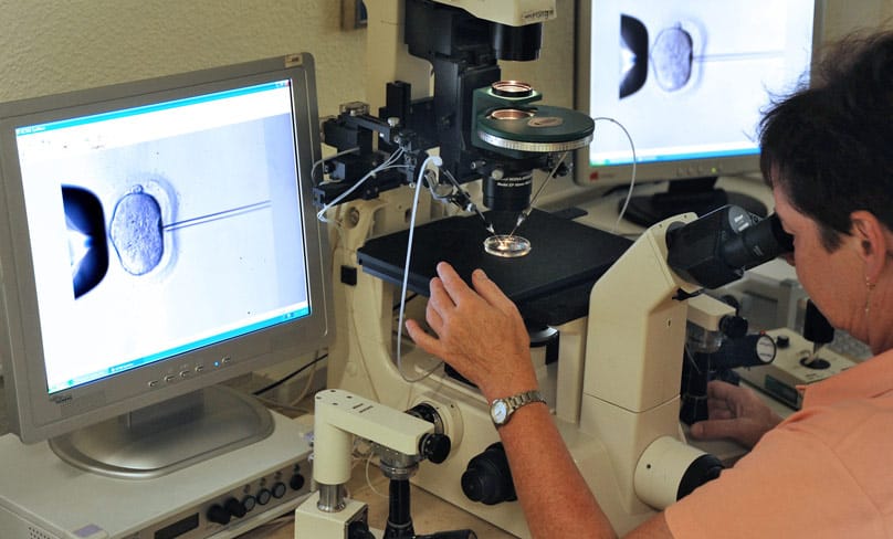 Verona Blumenauer, director of the Kinderwunschzentrum Leipzig Laboratory in Germany, inspects the microinjection of sperm into an egg cell using a microscope at the in vitro fertilization clinic in 2011. Photo: CNS photo/EPA