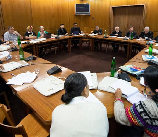 Members, observers and experts at the Synod of Bishops for the Amazon meet in a small working group in the Vatican synod hall. Photo: CNS photo/Vatican Media