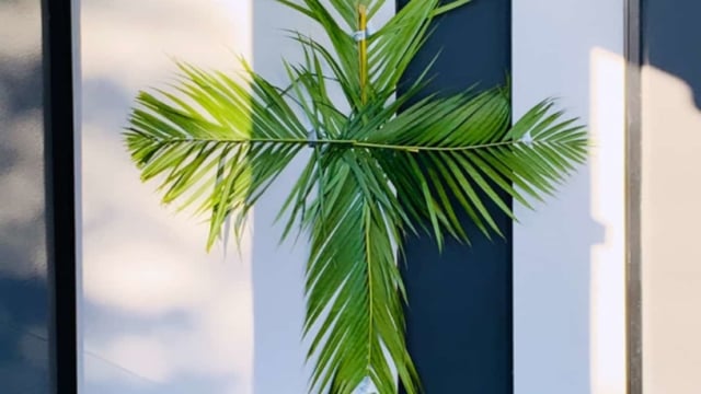 Palm Sunday In Sydney | Photo: Various