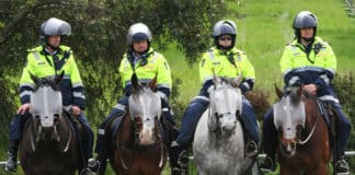 Mounted police officers on standby at a peaceful demonstration at Hazelwood Power Station, Victoria. Photo: Simpsons fan 66/Wikimedia Commons, CC BY-SA 3.0