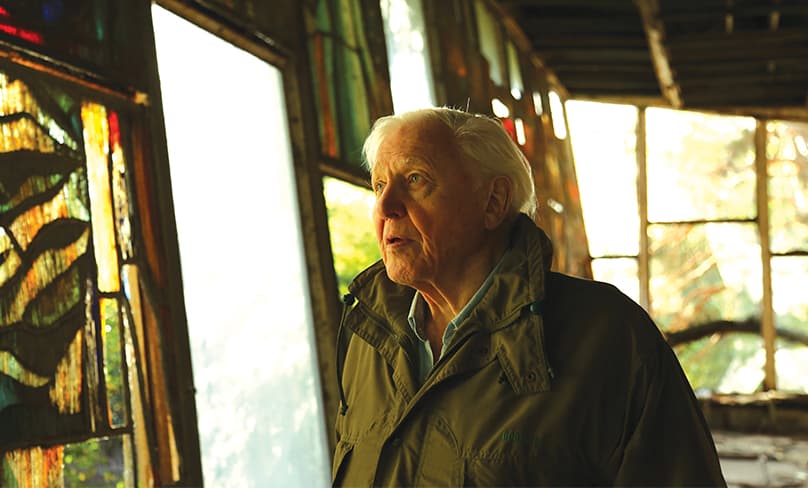 David Attenborough in his new documentary. Photo: Simyra Taback/Netflix