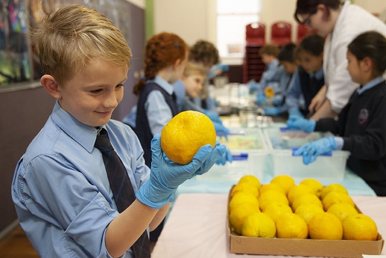 St Charles’ Waverley Year 3 students learn how to support the school ecosystem by growing new vegetables.