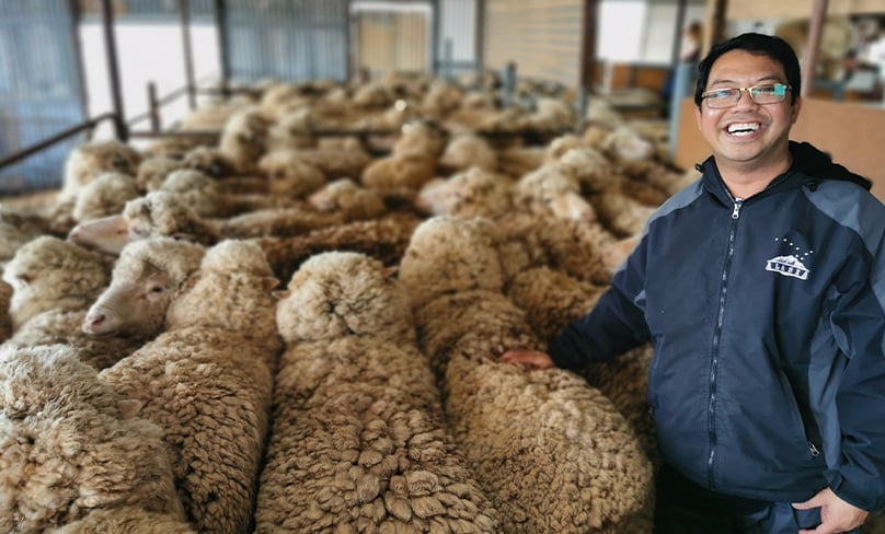Fr Harold tends to the flock. Photo: Supplied