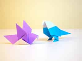 Go online and learn the ancient art of paper folding and create everything from dinosaurs, swans, frogs and reams more.
