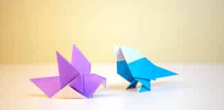 Go online and learn the ancient art of paper folding and create everything from dinosaurs, swans, frogs and reams more.