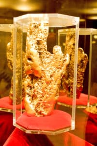 The Hand of Faith 27-kilogram fine-quality gold nugget on di play at the Golden Nugget Casino in Las Vegas. Photo: Supplied