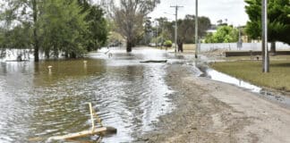 Forbes, above, has been among the many towns hit by severe flooding with many left homeless and businesses forced to close. Photo: AAP