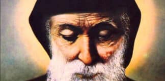 St Charbel embraced a life of monastic solitude with an emphasis on the spiritual and ascetical life of St Maroun.