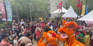 Lion dancers make their way through Chatswood forecourt on 11 February. Photo: Supplied
