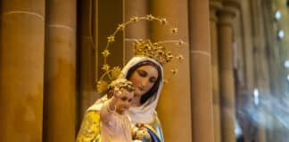 Marian devotion - the catholic weekly