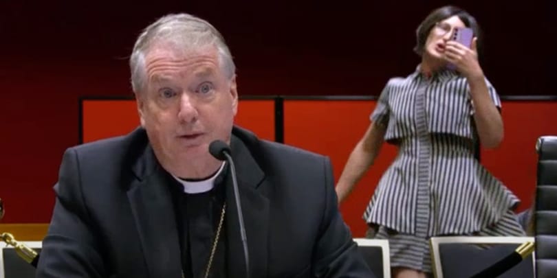 Activists hurl abuse at Archbishop Anthony Fisher OP at NSW Parliament